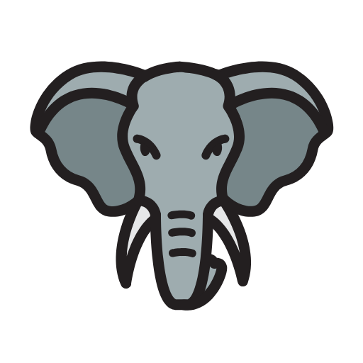 Safari