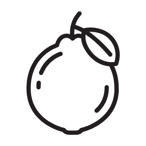 Fruit