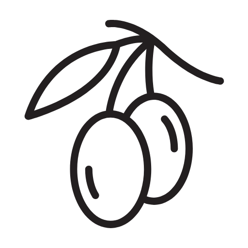 Fruit