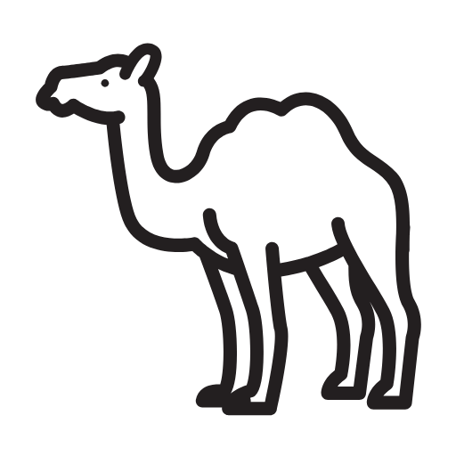 Desert