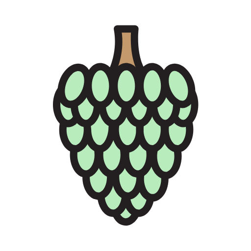 Fruit