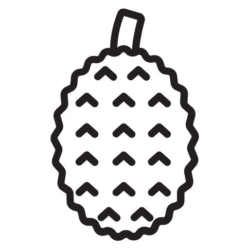 Fruit