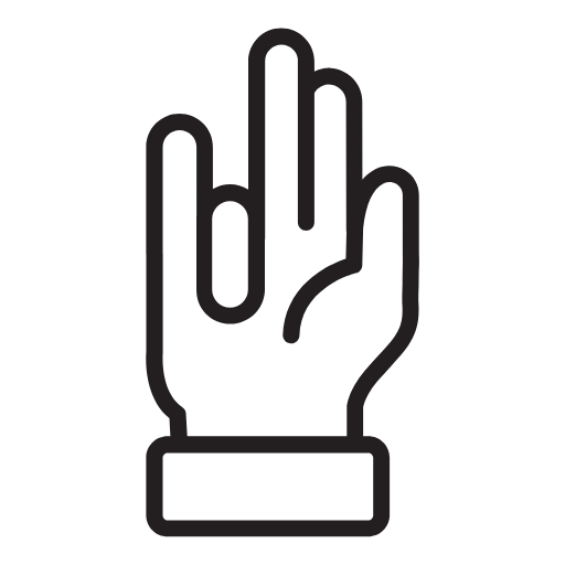 Hand Gestures