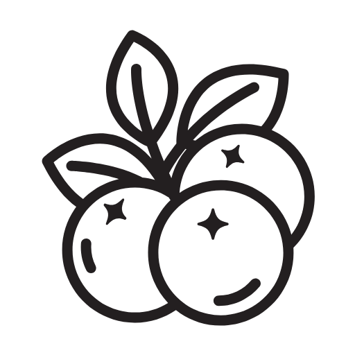 Fruit