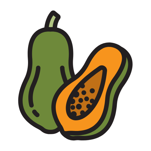 Fruit