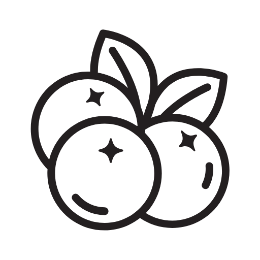 Fruit